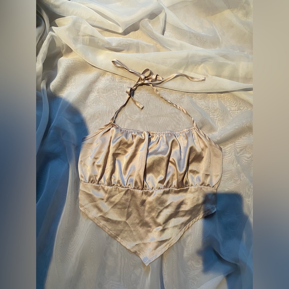 Going Out Satin Crop Top Size Medium (M)
